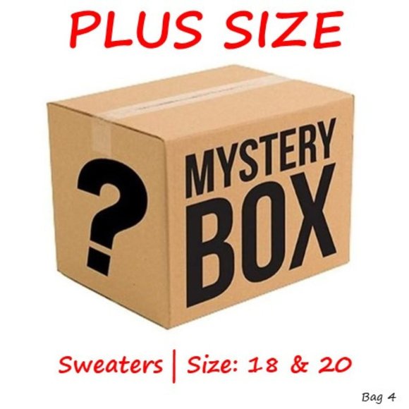 Assorted Brands Sweaters - Plus Size Sweaters - Reseller / Semi-Mystery Box